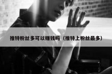 推特粉丝多可以赚钱吗（推特上粉丝最多）