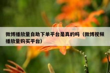 微博播放量自助下单平台是真的吗（微博视频播放量购买平台）