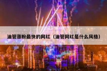 油管涨粉最快的网红（油管网红是什么风格）