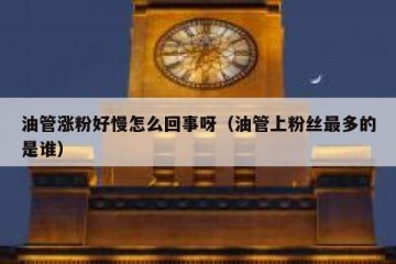 油管涨粉好慢怎么回事呀（油管上粉丝最多的是谁）