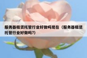 服务器租赁托管行业好做吗现在（服务器租赁托管行业好做吗?）