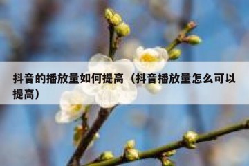 抖音的播放量如何提高（抖音播放量怎么可以提高）