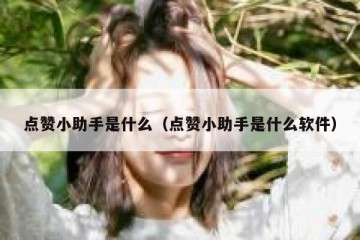 点赞小助手是什么（点赞小助手是什么软件）