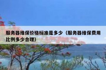 服务器维保价格标准是多少（服务器维保费用比例多少合理）
