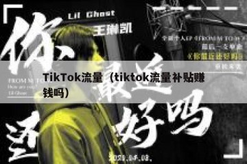 TikTok流量（tiktok流量补贴赚钱吗）