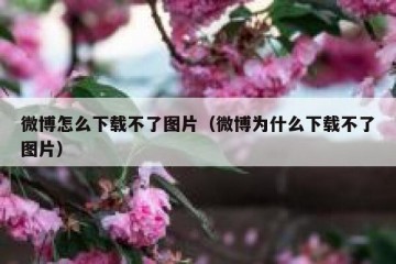 微博怎么下载不了图片（微博为什么下载不了图片）