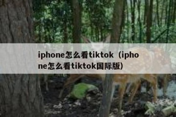 iphone怎么看tiktok（iphone怎么看tiktok国际版）