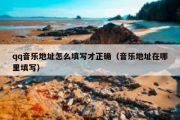 qq音乐地址怎么填写才正确（音乐地址在哪里填写）