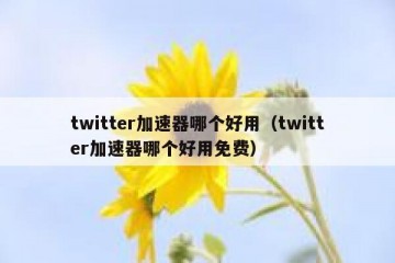 twitter加速器哪个好用（twitter加速器哪个好用免费）