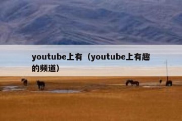 youtube上有（youtube上有趣的频道）