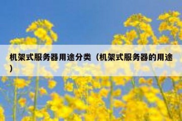 机架式服务器用途分类（机架式服务器的用途）