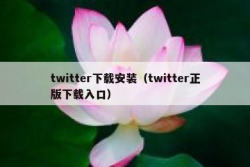 twitter下载安装（twitter正版下载入口）