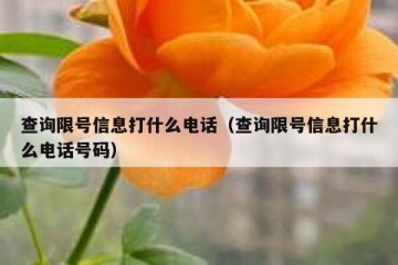 查询限号信息打什么电话（查询限号信息打什么电话号码）