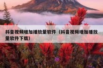 抖音视频增加播放量软件（抖音视频增加播放量软件下载）