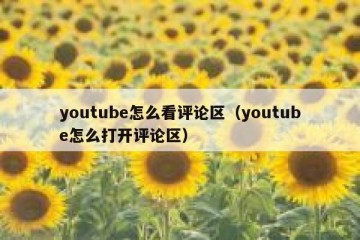 youtube怎么看评论区（youtube怎么打开评论区）