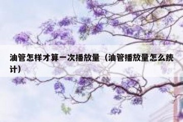 油管怎样才算一次播放量（油管播放量怎么统计）