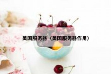 美国服务器（美国服务器作用）