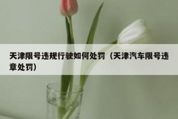 天津限号违规行驶如何处罚（天津汽车限号违章处罚）
