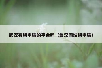 武汉有租电脑的平台吗（武汉同城租电脑）