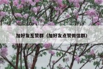 加好友互赞群（加好友点赞微信群）