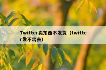 Twitter卖东西不发货（twitter发不出去）