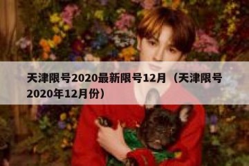 天津限号2020最新限号12月（天津限号2020年12月份）