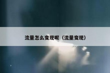 流量怎么变现呢（流量变现）