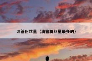 油管粉丝量（油管粉丝量最多的）