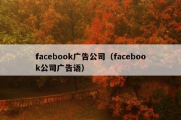 facebook广告公司（facebook公司广告语）