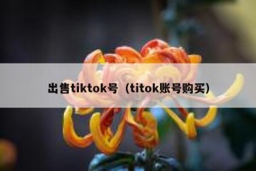 出售tiktok号（titok账号购买）