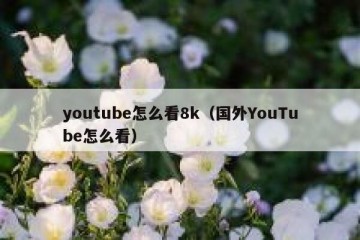 youtube怎么看8k（国外YouTube怎么看）