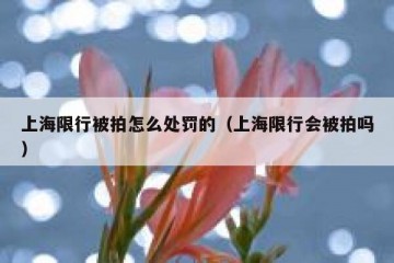 上海限行被拍怎么处罚的（上海限行会被拍吗）