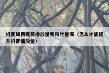 抖音如何提高播放量和粉丝量呢（怎么才能提升抖音播放量）
