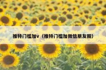 推特门槛加v（推特门槛加微信朋友圈）