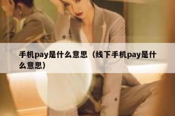 手机pay是什么意思（线下手机pay是什么意思）