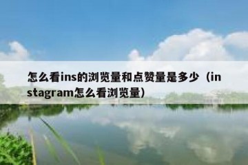 怎么看ins的浏览量和点赞量是多少（instagram怎么看浏览量）