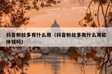 抖音粉丝多有什么用（抖音粉丝多有什么用能挣钱吗）