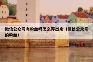 微信公众号有粉丝吗怎么弄出来（微信公众号的粉丝）