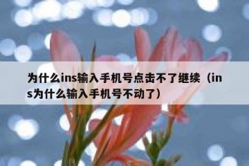 为什么ins输入手机号点击不了继续（ins为什么输入手机号不动了）