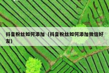 抖音粉丝如何添加（抖音粉丝如何添加微信好友）