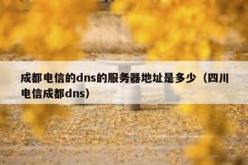 成都电信的dns的服务器地址是多少（四川电信成都dns）