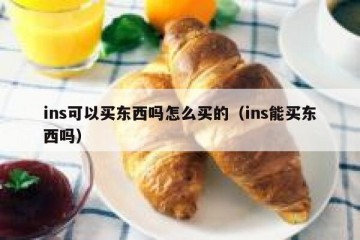 ins可以买东西吗怎么买的（ins能买东西吗）