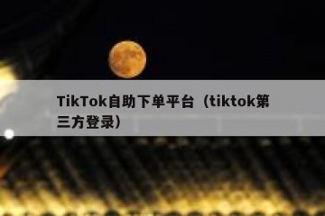 TikTok自助下单平台（tiktok第三方登录）