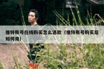 推特账号在线购买怎么退款（推特账号购买后如何用）