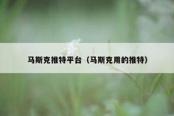 马斯克推特平台（马斯克用的推特）