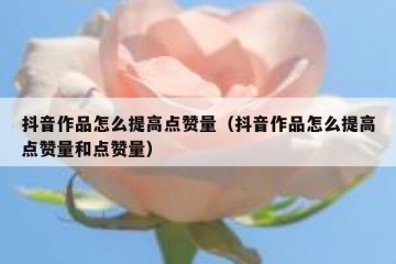 抖音作品怎么提高点赞量（抖音作品怎么提高点赞量和点赞量）