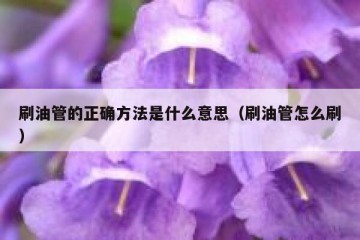刷油管的正确方法是什么意思（刷油管怎么刷）