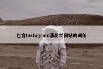 包含Instagram涨粉丝网站的词条