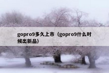 gopro9多久上市（gopro9什么时候出新品）