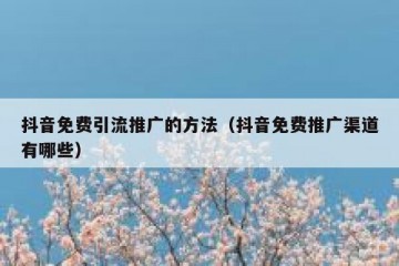 抖音免费引流推广的方法（抖音免费推广渠道有哪些）